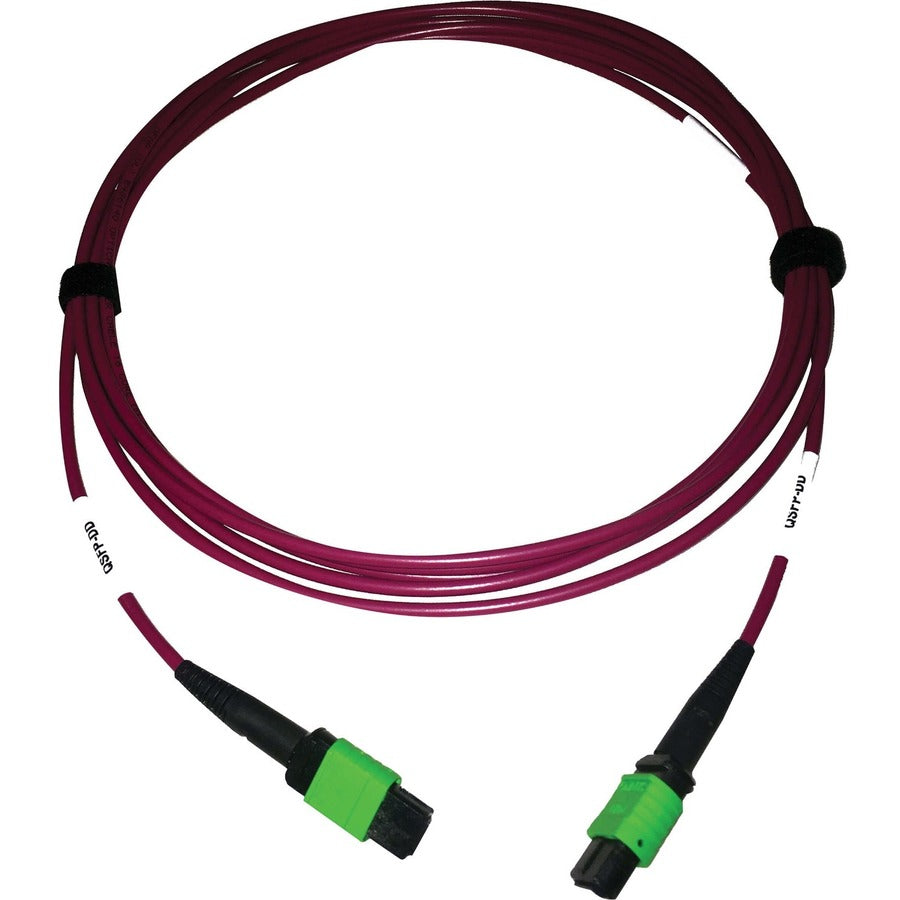 Tripp Lite Multimode Fiber Optic Cable 400G OM4 Plenum MTP/MPO-APC F/F 3M