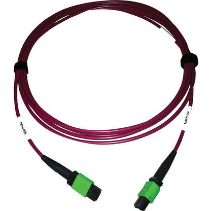 Tripp Lite Multimode Fiber Optic Cable 400G OM4 Plenum MTP/MPO-APC F/F 3M