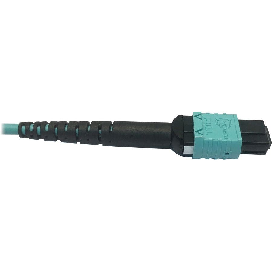 Tripp Lite Multimode Fiber Optic Cable OM4 Plenum 400G 50 24F MTP/MPO-PC F/F 3M