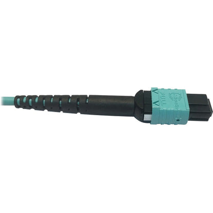 Tripp Lite Multimode Fiber Optic Cable OM4 Plenum 400G 50 24F MTP/MPO-PC F/F 3M