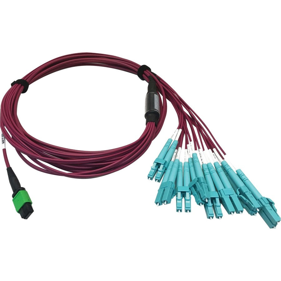 Tripp Lite Multimode Fiber Optic Breakout Cable 16F MTP/MPO-APC to x8 LC F/M 3M