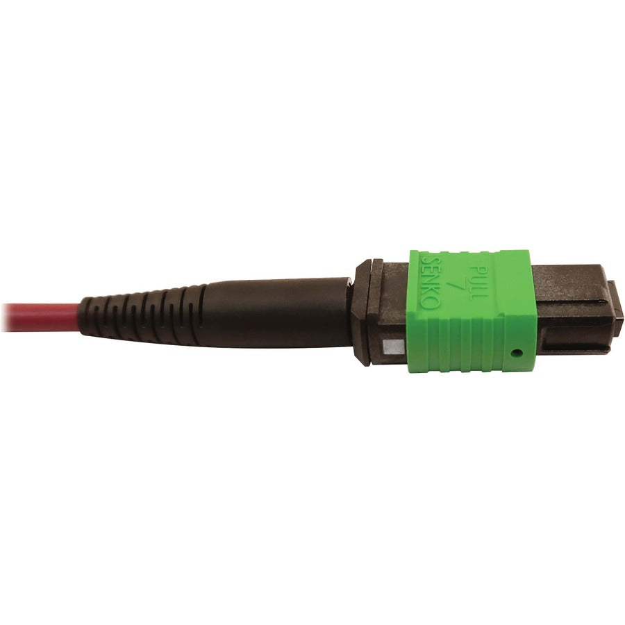 Tripp Lite Multimode Fiber Optic Cable 400G OM4 MTP/MPO-APC to MTP/MPO-UPC F/F 5M