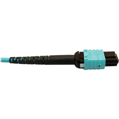 Tripp Lite Multimode Fiber Optic Cable 24F MTP/MPO-PC to x2 12F MTP/MPO-PC F/F 5M