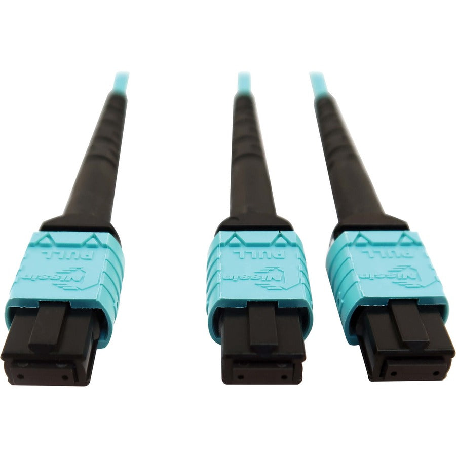 Tripp Lite Multimode Fiber Optic Cable 24F MTP/MPO-PC to x2 12F MTP/MPO-PC F/F 5M