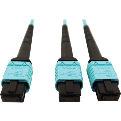 Tripp Lite Multimode Fiber Optic Cable 24F MTP/MPO-PC to x2 12F MTP/MPO-PC F/F 5M