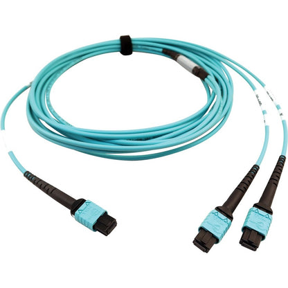Tripp Lite Multimode Fiber Optic Cable 24F MTP/MPO-PC to x2 12F MTP/MPO-PC F/F 5M