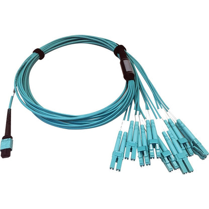 Tripp Lite Multimode Fiber Optic Breakout Cable 24F MTP/MPO-PC to x8 LC F/M 3M