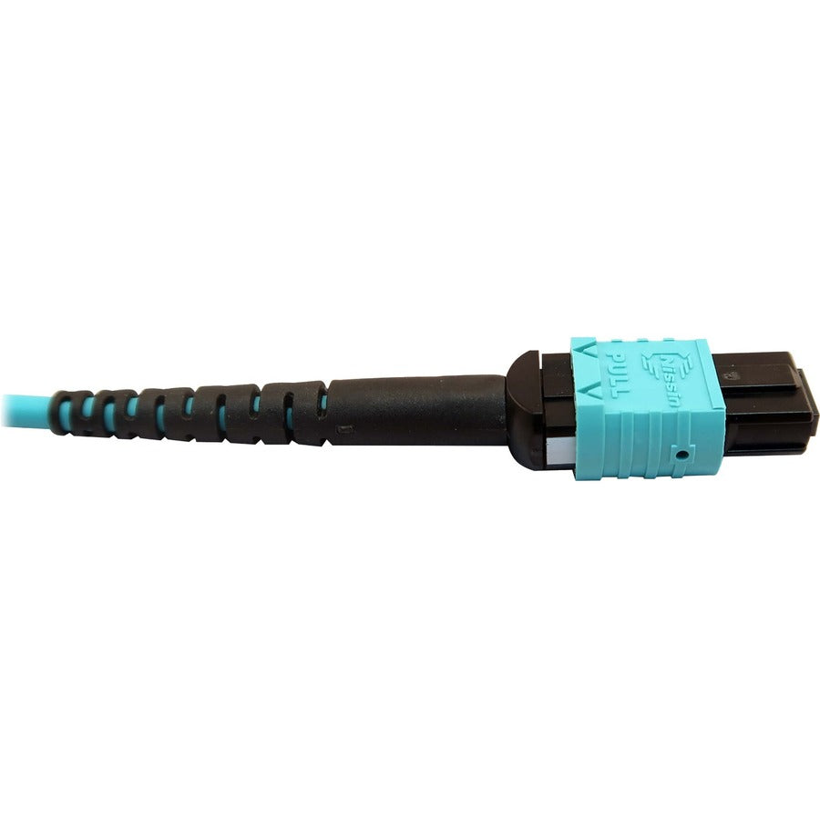 Tripp Lite Multimode Fiber Optic Cable 24F MTP/MPO-UPC to 16F MTP/MPO-UPC F/F 3M