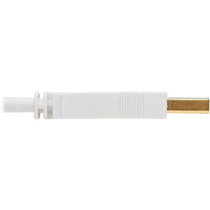 Tripp Lite Safe-IT USB-A Antibacterial Extension Cable (M/F), USB 2.0, White, 3 ft.