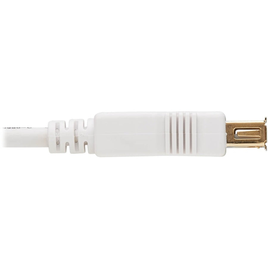 Tripp Lite Safe-IT USB-A Antibacterial Extension Cable (M/F), USB 2.0, White, 3 ft.
