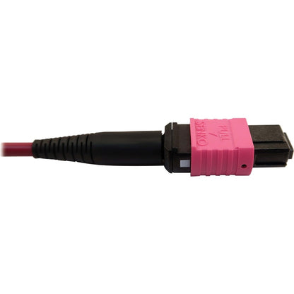 Tripp Lite Multimode Fiber Optic Cable 400G OM4 MTP/MPO-APC to MTP/MPO-UPC F/F 1M