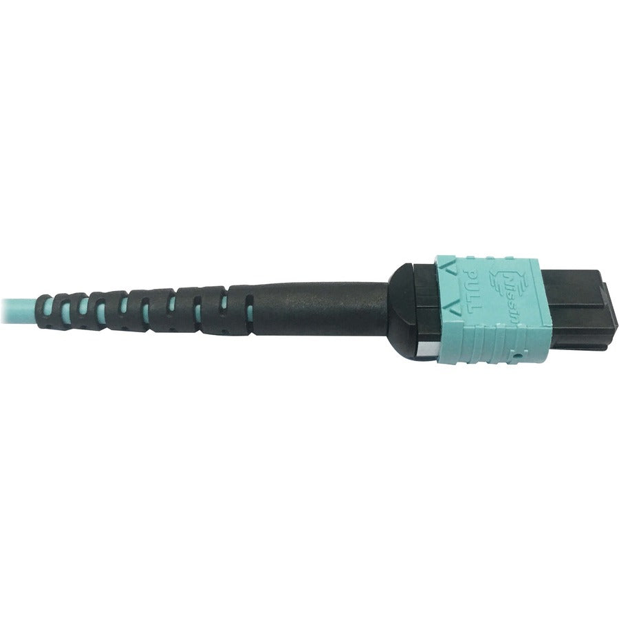 Tripp Lite Multimode Fiber Optic Cable 24F MTP/MPO-PC to x2 12F MTP/MPO-PC F/F 1M