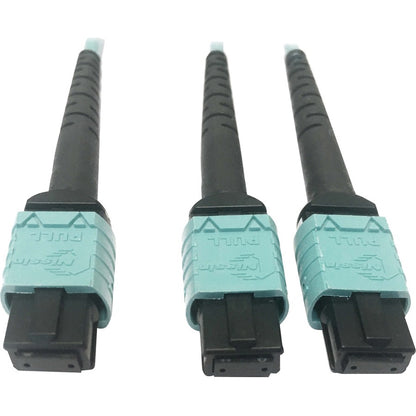 Tripp Lite Multimode Fiber Optic Cable 24F MTP/MPO-PC to x2 12F MTP/MPO-PC F/F 1M