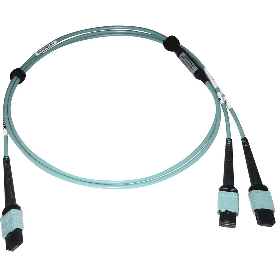 Tripp Lite Multimode Fiber Optic Cable 24F MTP/MPO-PC to x2 12F MTP/MPO-PC F/F 1M