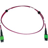 Tripp Lite Multimode Fiber Optic Cable 400G OM4 Plenum MTP/MPO-APC F/F 1M