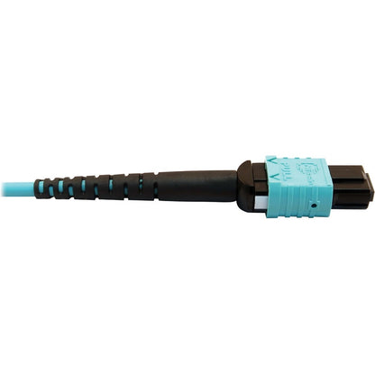 Tripp Lite Multimode Fiber Optic Cable OM4 Plenum 400G 50 24F MTP/MPO-PC F/F 10M