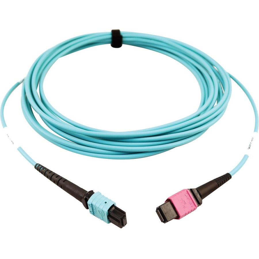 Tripp Lite Multimode Fiber Optic Cable 24F MTP/MPO-UPC to 16F MTP/MPO-UPC F/F 5M