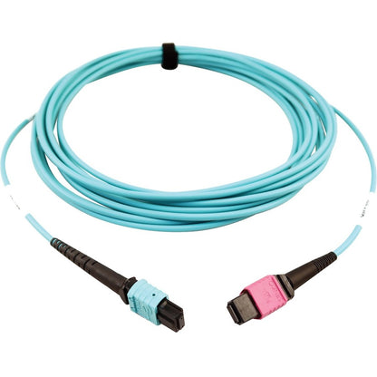 Tripp Lite Multimode Fiber Optic Cable 24F MTP/MPO-UPC to 16F MTP/MPO-UPC F/F 5M