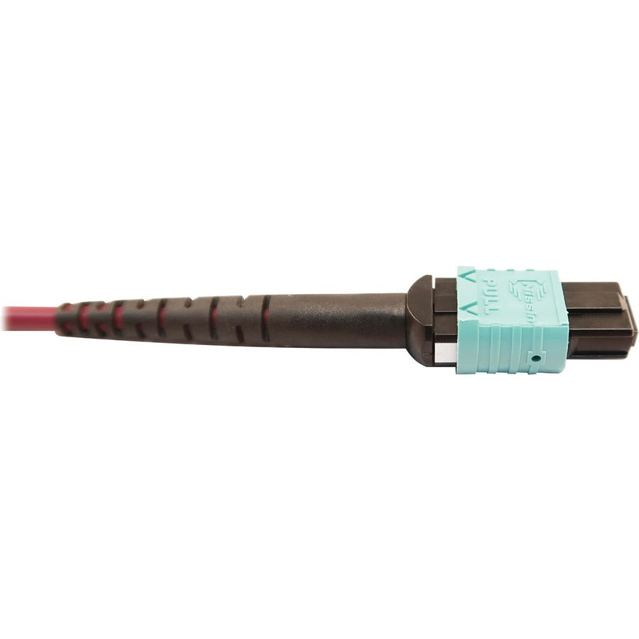 Tripp Lite Multimode Fiber Optic Cable 400G MTP/MPO-APC to 24F MTP/MPO-UPC F/F 3M