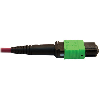 Tripp Lite Multimode Fiber Optic Cable 400G MTP/MPO-APC to 24F MTP/MPO-UPC F/F 3M