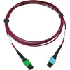 Tripp Lite Multimode Fiber Optic Cable 400G MTP/MPO-APC to 24F MTP/MPO-UPC F/F 3M