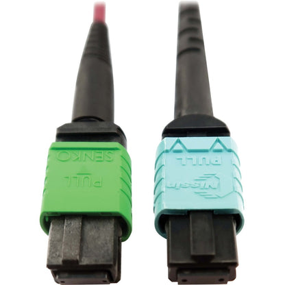 Tripp Lite Multimode Fiber Optic Cable 400G MTP/MPO-APC to 24F MTP/MPO-UPC F/F 1M