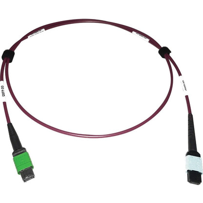 Tripp Lite Multimode Fiber Optic Cable 400G MTP/MPO-APC to 24F MTP/MPO-UPC F/F 1M