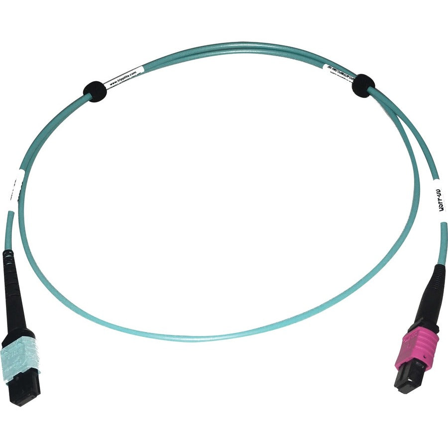 Tripp Lite Multimode Fiber Optic Cable 24F MTP/MPO-UPC to 16F MTP/MPO-UPC F/F 1M