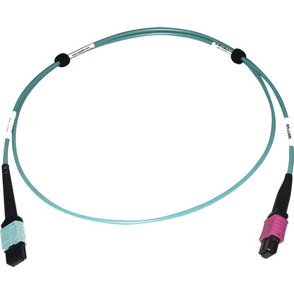 Tripp Lite Multimode Fiber Optic Cable 24F MTP/MPO-UPC to 16F MTP/MPO-UPC F/F 1M