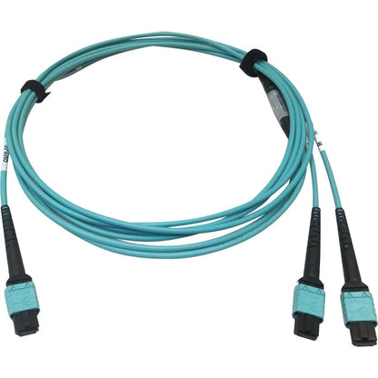 Tripp Lite Multomode Fiber Optic Cable 24F MTP/MPO-PC to x2 12F MTP/MPO-PC F/F 3M