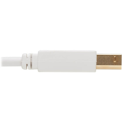 Tripp Lite Safe-IT USB-A to USB-B Antibacterial Cable (M/M), USB 2.0, White, 10 ft.