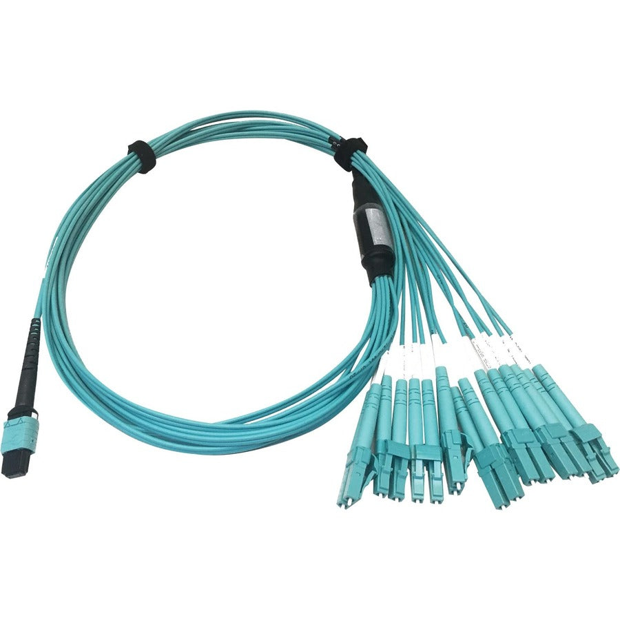 Tripp Lite Multimode Fiber Optic Breakout Cable 24F MTP/MPO-PC to x8 LC F/M 1M