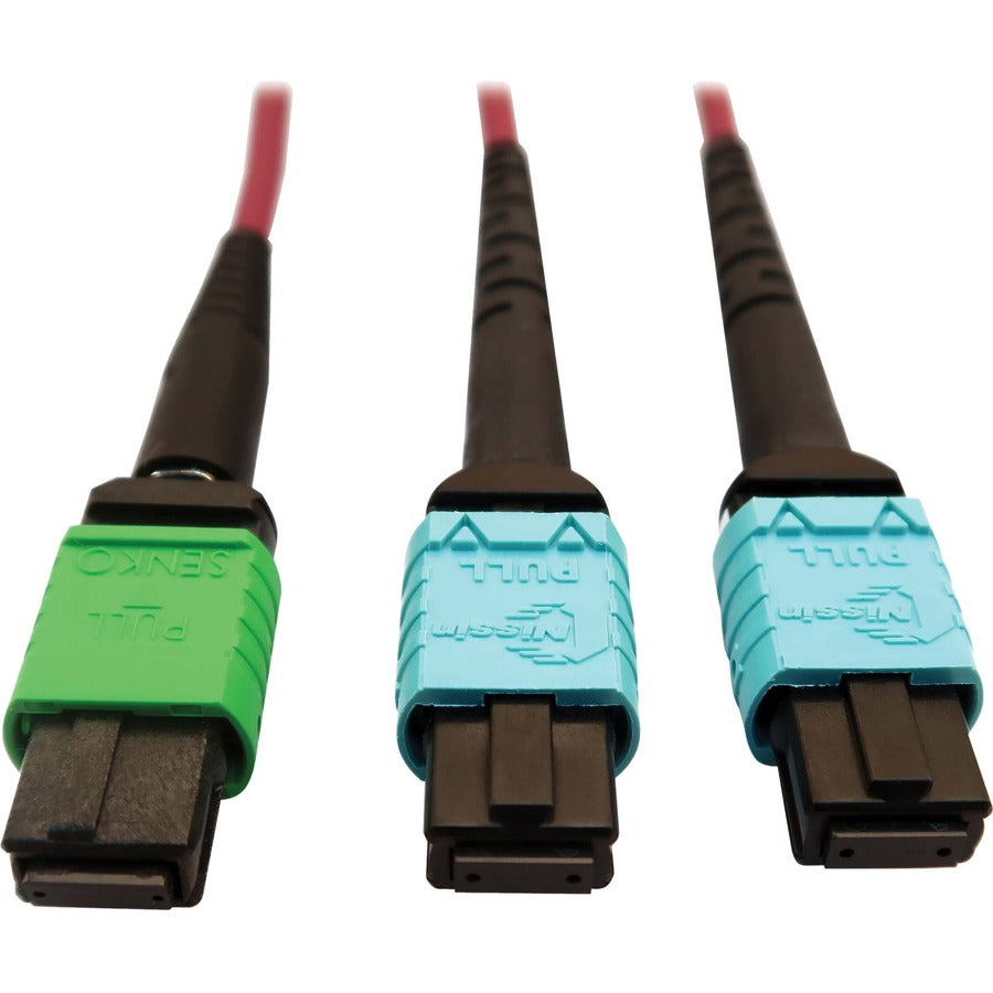 Tripp Lite Multimode Fiber Optic Cable MTP/MPO-APC to x2 12F MTP/MPO-UPC F/F 1M