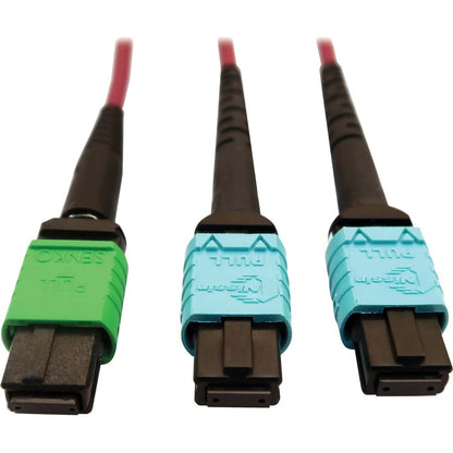 Tripp Lite Multimode Fiber Optic Cable MTP/MPO-APC to x2 12F MTP/MPO-UPC F/F 1M