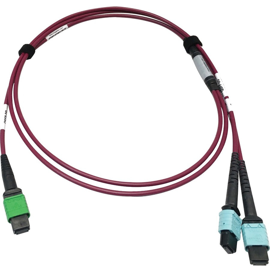 Tripp Lite Multimode Fiber Optic Cable MTP/MPO-APC to x2 12F MTP/MPO-UPC F/F 1M