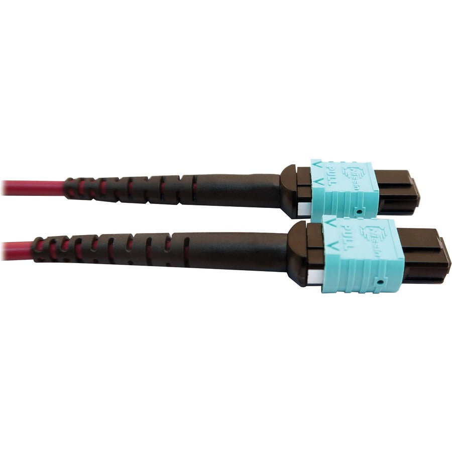 Tripp Lite Multimode Fiber Optic Cable MTP/MPO-APC to x2 12F MTP/MPO-UPC F/F 1M