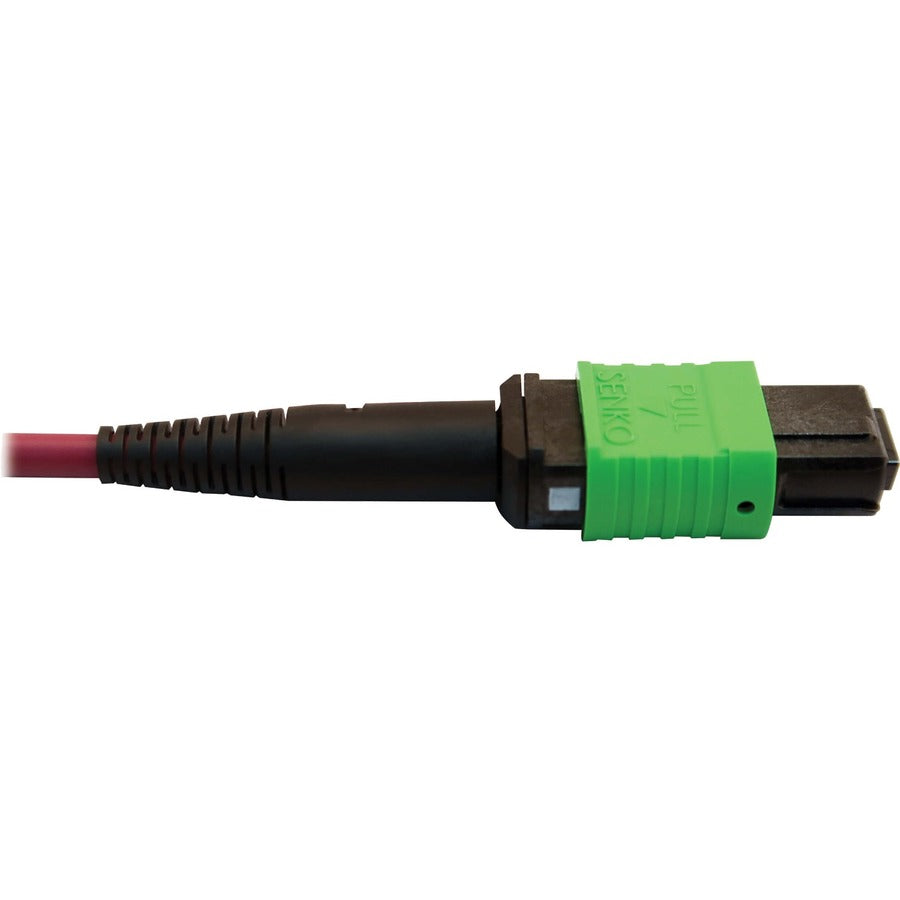 Tripp Lite Multimode Fiber Optic Cable MTP/MPO-APC to x2 12F MTP/MPO-UPC F/F 1M