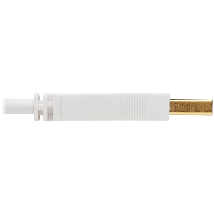 Tripp Lite Safe-IT USB-A Antibacterial Extension Cable (M/F), USB 2.0, White, 6 ft.