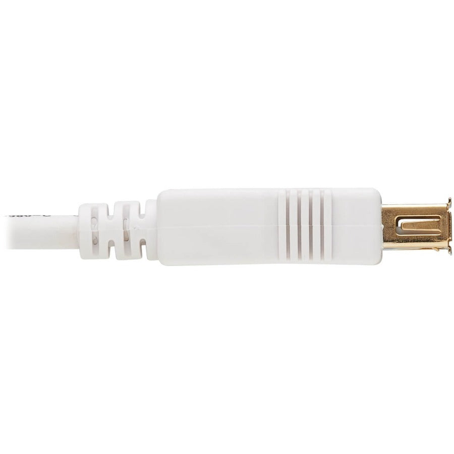 Tripp Lite Safe-IT USB-A Antibacterial Extension Cable (M/F), USB 2.0, White, 6 ft.