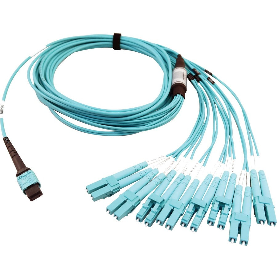 Tripp Lite Multimode Fiber Optic Breakout Cable 24F MTP/MPO-PC to x8 LC F/M 5M