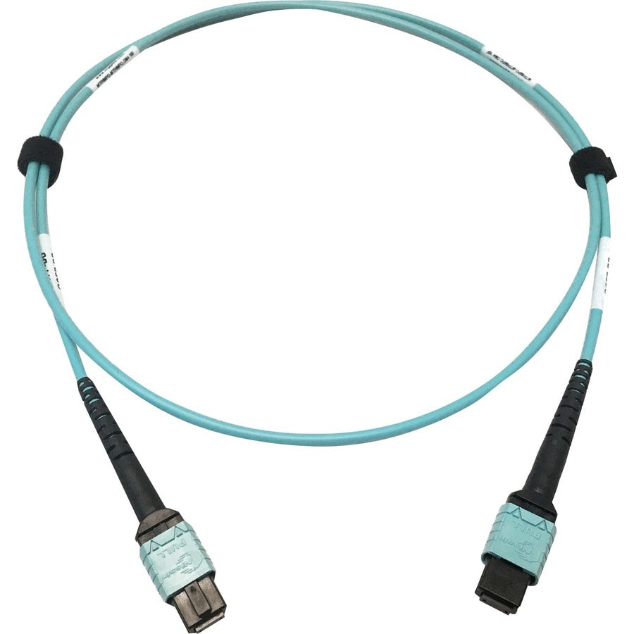 Tripp Lite Multimode Fiber Optic Cable OM4 Plenum 400G 50 24F MTP/MPO-PC F/F 1M