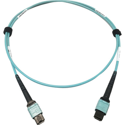 Tripp Lite Multimode Fiber Optic Cable OM4 Plenum 400G 50 24F MTP/MPO-PC F/F 1M