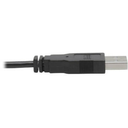 Tripp Lite DVI to USB-A Dual KVM Cable Kit 2x Male 2x Male 1080p @60Hz 10ft