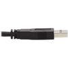 Tripp Lite DisplayPort KVM Cable Kit 4K USB 3.5mm 3xM/3xM USB MM DP MM 10ft
