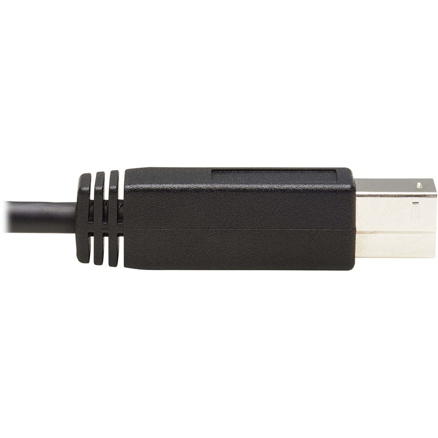 Tripp Lite USB C to USB Type B Cable USB Type C 3.1 Gen 2, 10 Gbps M/M 20in