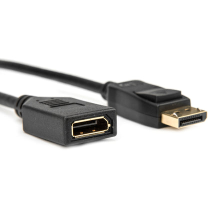 Rocstor Premium 6 ft DisplayPort Video Extension Cable - M/F - DisplayPort Male Video - DisplayPort Female Video - Black - Display Port Video Extension Cable