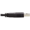 Tripp Lite Dual DisplayPort KVM Cable Kit 4K USB 3.5 mm Audio 3xM/3xM 6ft