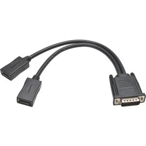 Tripp Lite 1ft DMS-59 to Dual DisplayPort Splitter Y Cable M/Fx2