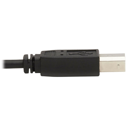 Tripp Lite DisplayPort KVM Cable Kit 4K USB 3.5mm Audio 3xM/3xM USB M/M 6ft