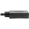 Mini DisplayPort to DisplayPort Adapter Converter 4K @ 60Hz mDP to DP 6in